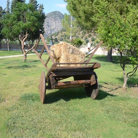 Oasis Apart Hotel Dalyan Exterior photo
